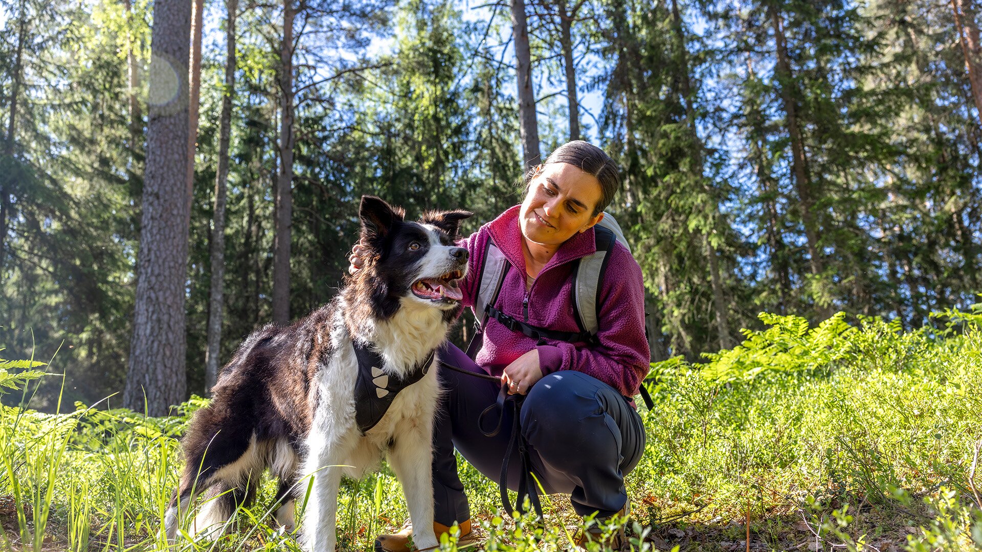 Header-Nachhaltigkeitsagenda-ORION_Mensch-mit-Hund.jpg
